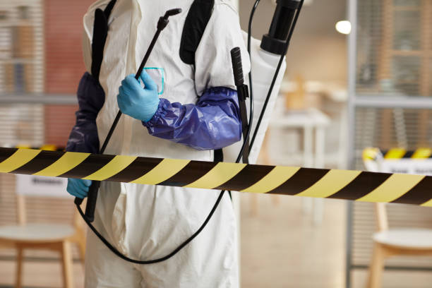 Professional Sewage Cleanup technician working in Avon, MN